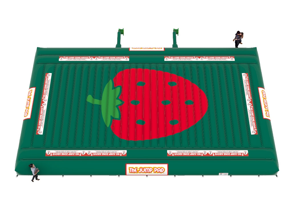 30x50 Large Strawberry Pad