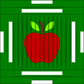 25x40 Original Apple Pad | The Jump Pad