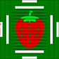 30x70 Giant Strawberry Pad